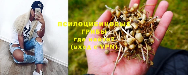дживик Вяземский