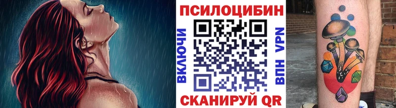 дарк нет клад  Брянск  ОМГ ОМГ зеркало  Псилоцибиновые грибы Psilocybe  купить  цена 